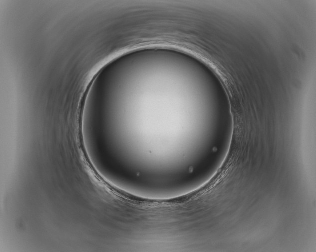 X0000115801534200911131349