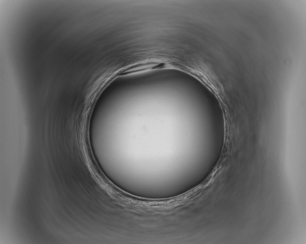 X0000115800001200911201407