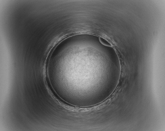 X0000115800002200911201407