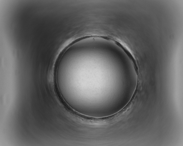X0000115800008200911201407