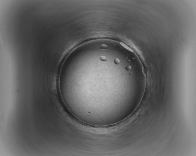 X0000115800010200911201407