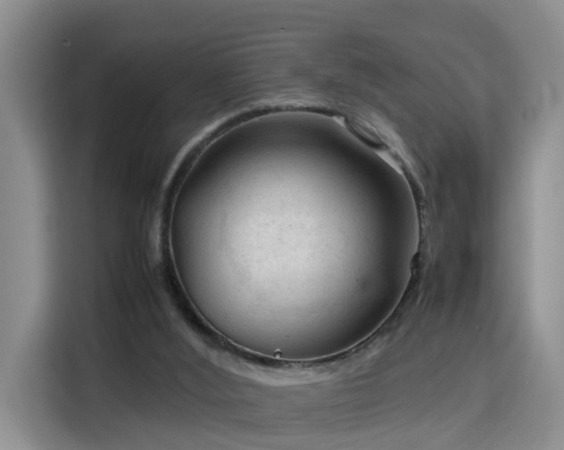 X0000115800012200911201407