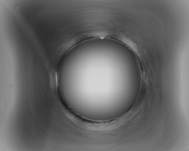 X0000115800013200911201407