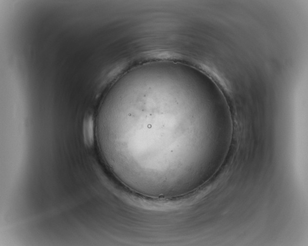 X0000115800014200911201407