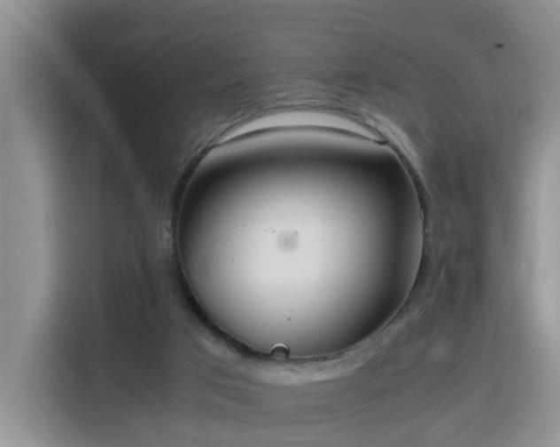 X0000115800017200911201407