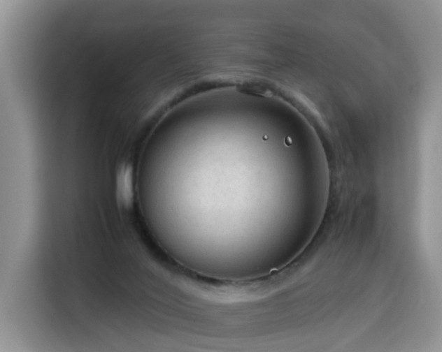 X0000115800020200911201407