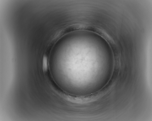 X0000115800022200911201407