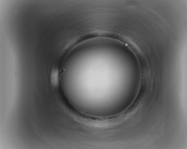 X0000115800024200911201407