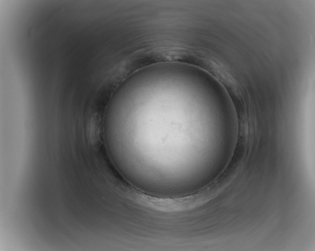 X0000115800030200911201407