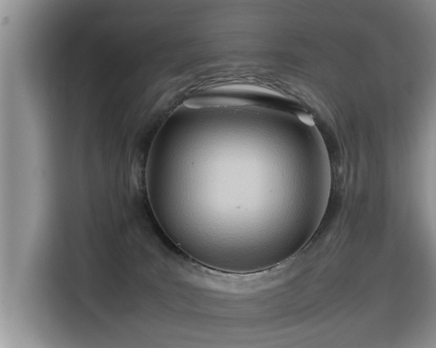 X0000115800035200911201407