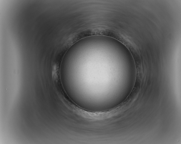 X0000115800038200911201407