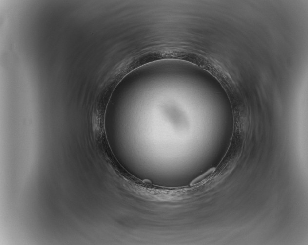 X0000115800044200911201407