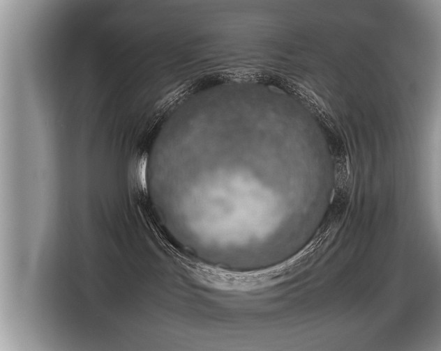X0000115800047200911201407