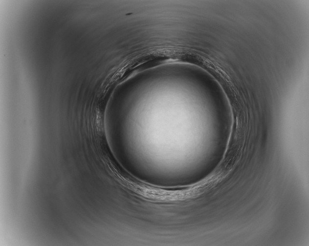 X0000115800048200911201407