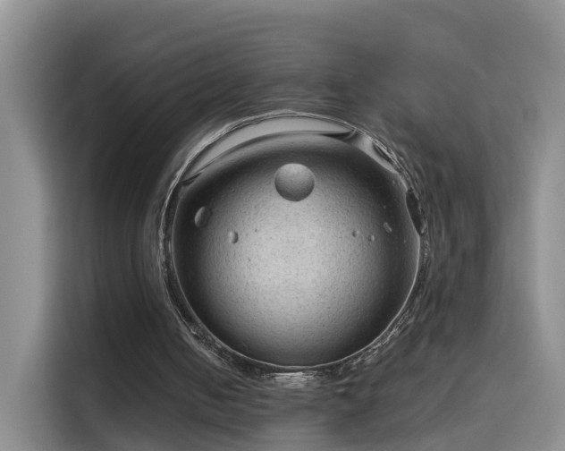X0000115800050200911201406