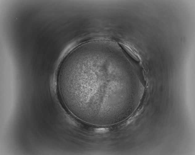 X0000115800053200911201406