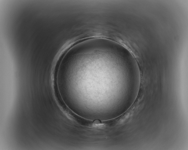 X0000115800055200911201406