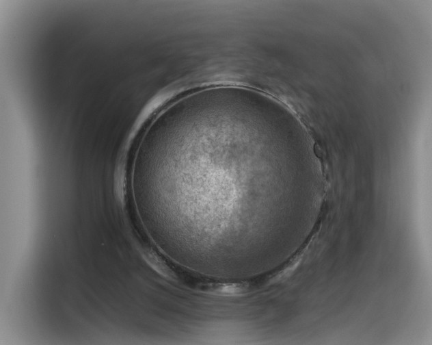 X0000115800056200911201406