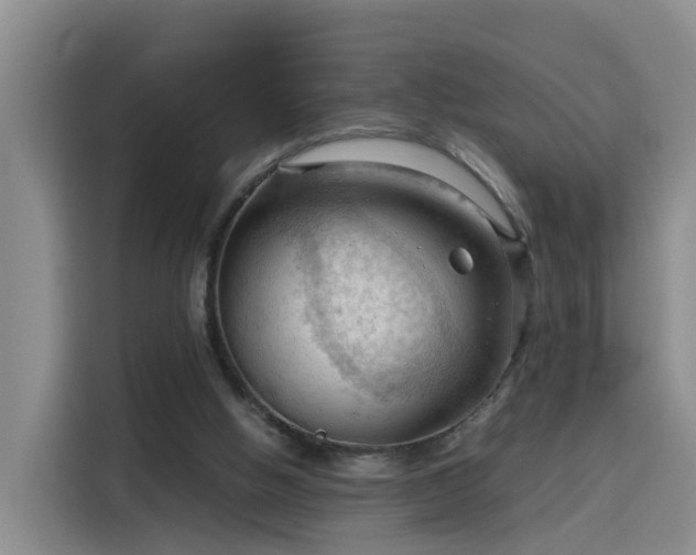 X0000115800058200911201406
