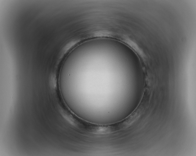 X0000115800060200911201406