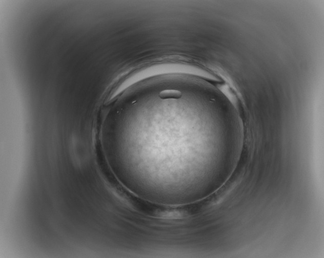 X0000115800063200911201406