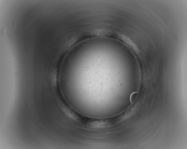 X0000115800065200911201406