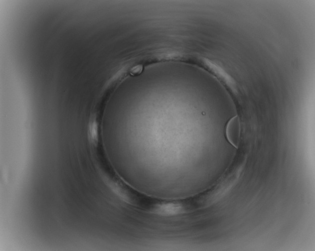 X0000115800067200911201406