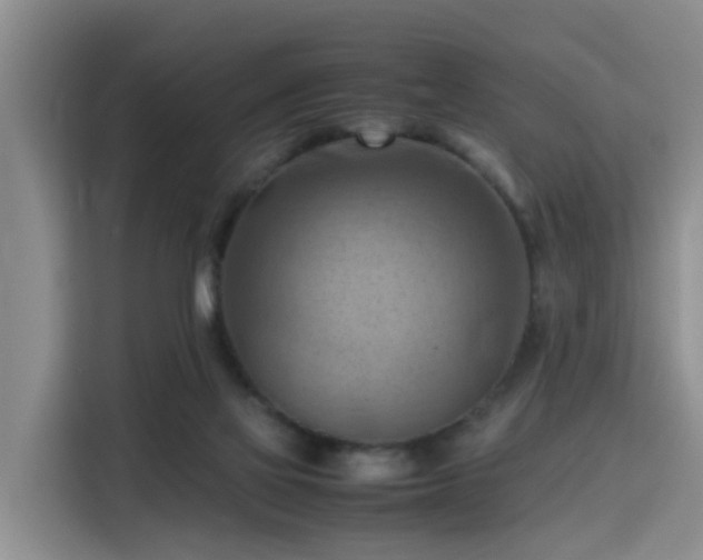 X0000115800069200911201406