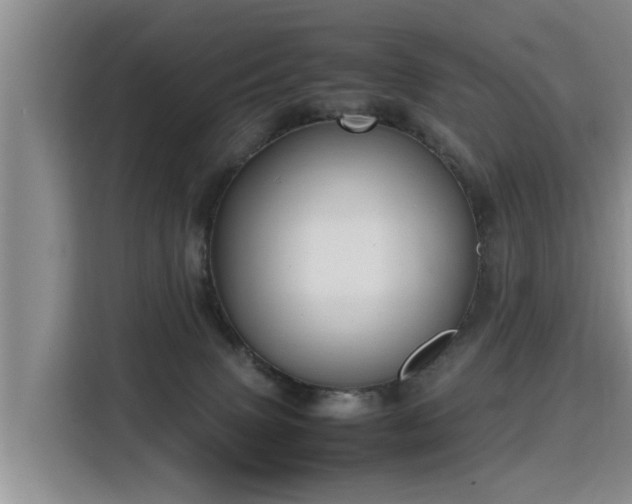 X0000115800083200911201407