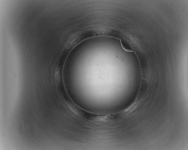 X0000115800086200911201407