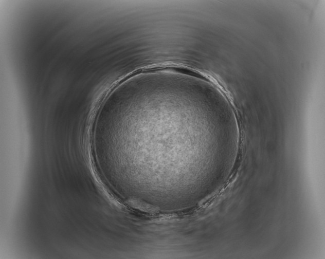 X0000115800097200911201406