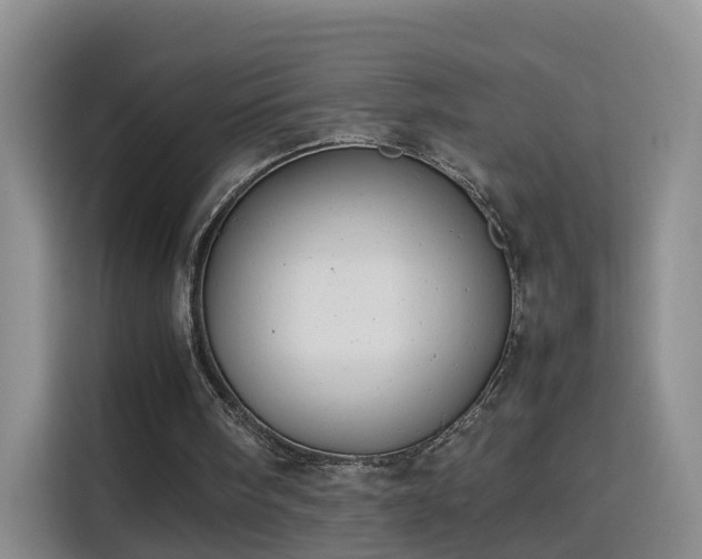 X0000115800098200911201406