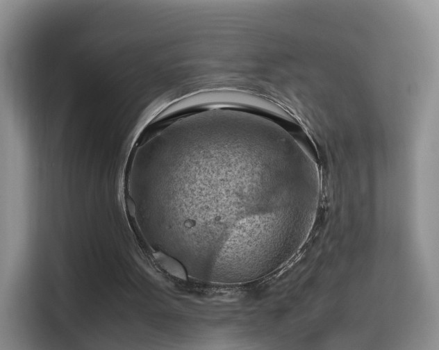 X0000115800099200911201406