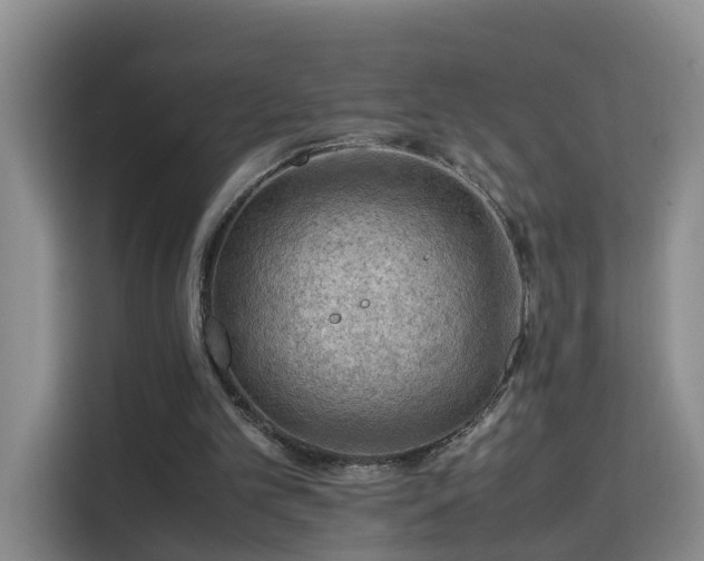 X0000115800101200911201406