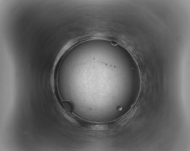 X0000115800102200911201406