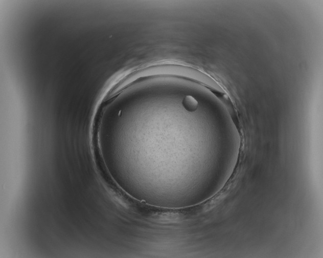 X0000115800104200911201406