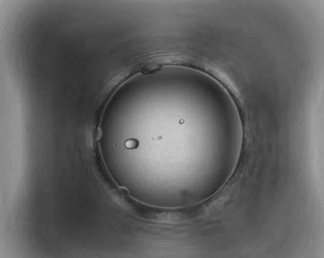 X0000115800105200911201406