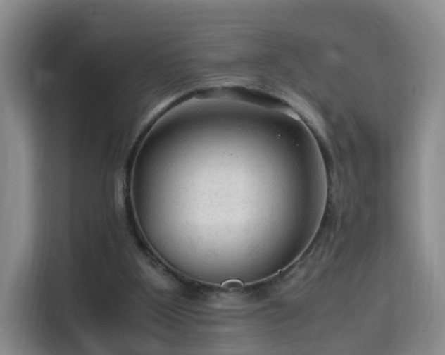 X0000115800107200911201406