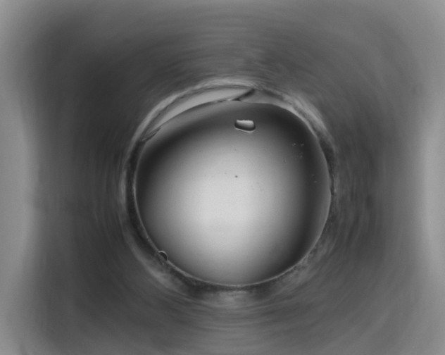 X0000115800108200911201406