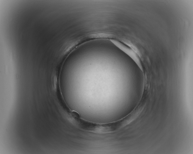 X0000115800109200911201406
