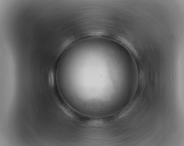 X0000115800110200911201406