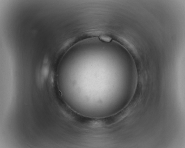 X0000115800115200911201406