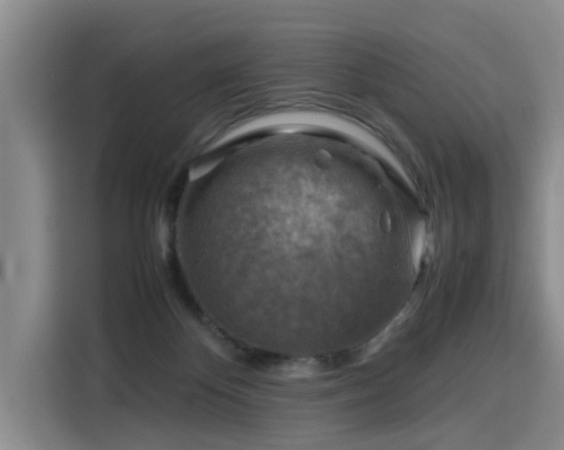 X0000115800124200911201406