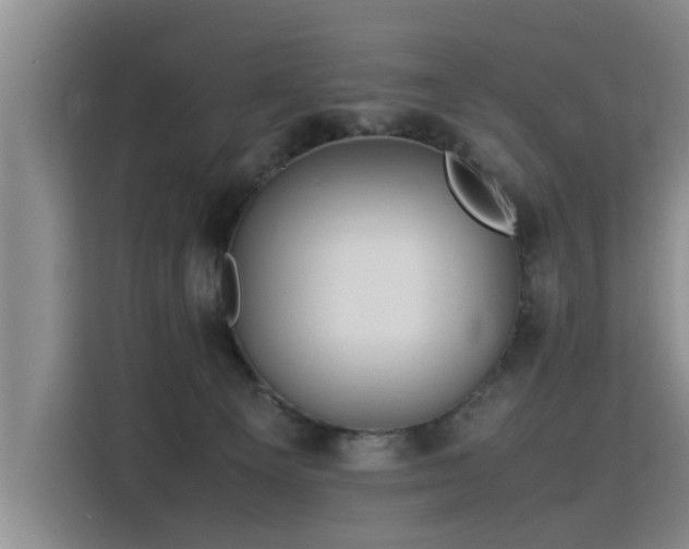 X0000115800129200911201406