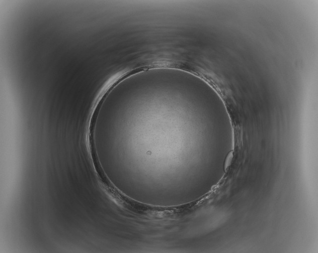 X0000115800147200911201405