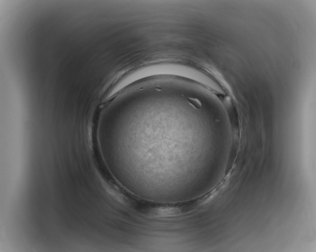 X0000115800154200911201405