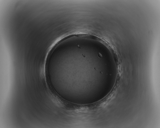 X0000115800196200911201405
