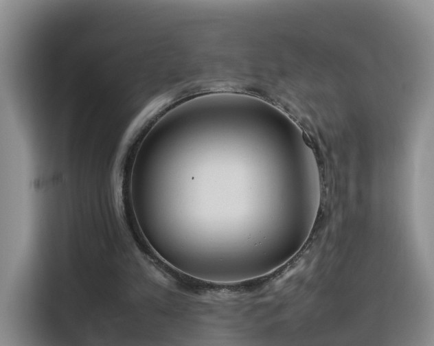 X0000115800197200911201405
