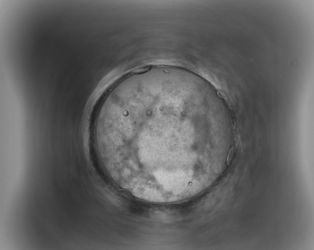 X0000115800199200911201405