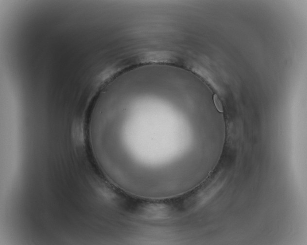 X0000115800203200911201405